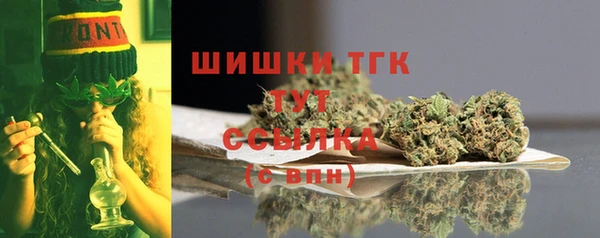 тгк Алексин