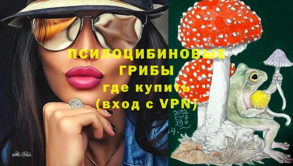 спиды Алзамай