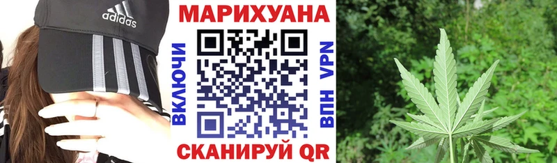 купить наркотик  Курлово  Бошки марихуана гибрид 